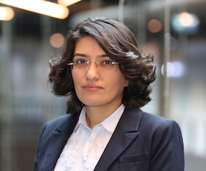 Asst.Prof.Dr Şerife AYAZ GÜNER
